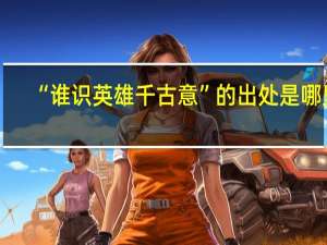 “谁识英雄千古意”的出处是哪里