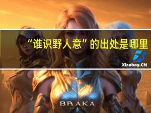 “谁识野人意”的出处是哪里
