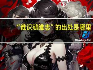 “谁识鵷雏志”的出处是哪里