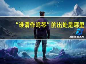 “谁谓作鸣琴”的出处是哪里