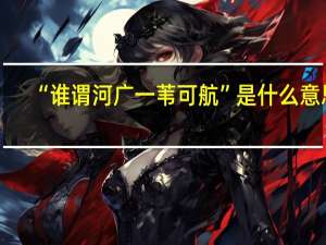 “谁谓河广一苇可航”是什么意思