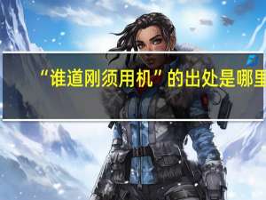 “谁道刚须用机”的出处是哪里