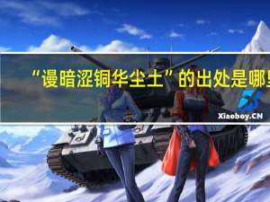 “谩暗涩铜华尘土”的出处是哪里