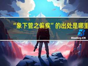 “象下管之偏疾”的出处是哪里