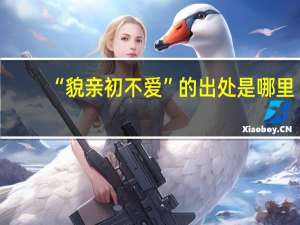 “貌亲初不爱”的出处是哪里