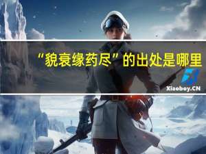 “貌衰缘药尽”的出处是哪里