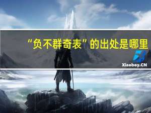 “负不群奇表”的出处是哪里
