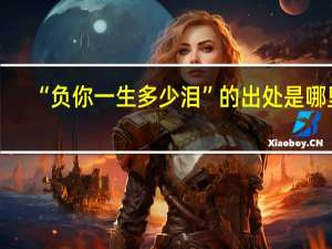 “负你一生多少泪”的出处是哪里