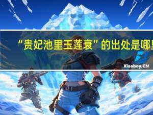 “贵妃池里玉莲衰”的出处是哪里