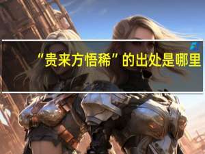 “贵来方悟稀”的出处是哪里