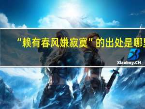 “赖有春风嫌寂寞”的出处是哪里