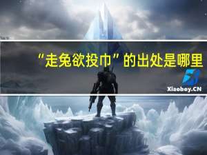 “走兔欲投巾”的出处是哪里