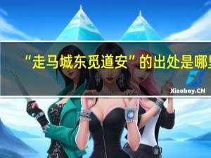 “走马城东觅道安”的出处是哪里