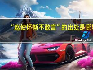 “赵使怀惭不敢言”的出处是哪里