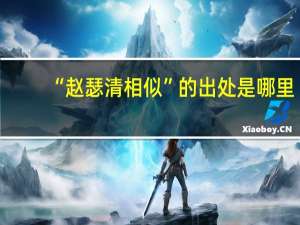“赵瑟清相似”的出处是哪里