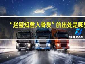 “赵璧知君入骨爱”的出处是哪里