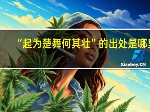 “起为楚舞何其壮”的出处是哪里