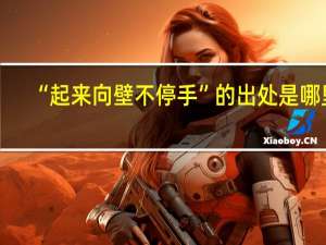 “起来向壁不停手”的出处是哪里