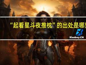 “起看星斗夜推枕”的出处是哪里