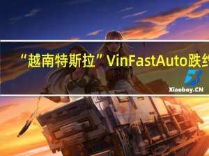 “越南特斯拉”VinFast Auto（VFS）跌约4.2%刷新日低至17.01美元