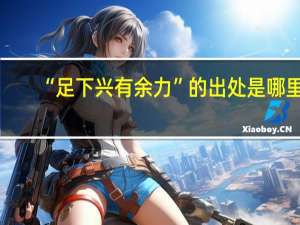 “足下兴有余力”的出处是哪里