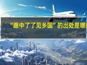 “跟中了了见乡国”的出处是哪里