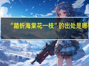 “踏折海棠花一枝”的出处是哪里