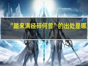 “踏来满径碎何曾”的出处是哪里