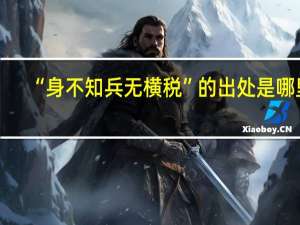 “身不知兵无横税”的出处是哪里