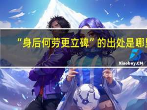 “身后何劳更立碑”的出处是哪里