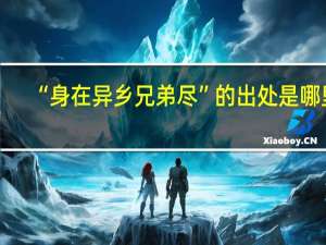“身在异乡兄弟尽”的出处是哪里