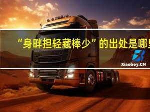“身畔担轻藏棒少”的出处是哪里