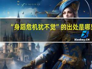 “身蹈危机犹不觉”的出处是哪里