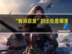 “转添寂寞”的出处是哪里