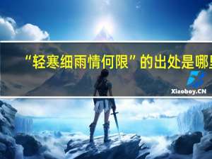 “轻寒细雨情何限”的出处是哪里