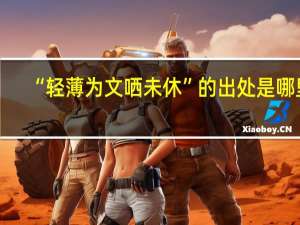 “轻薄为文哂未休”的出处是哪里