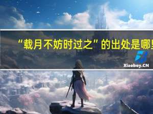“载月不妨时过之”的出处是哪里