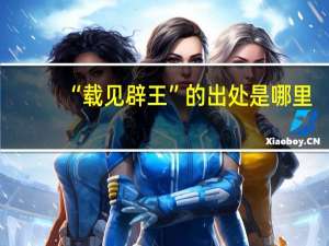 “载见辟王”的出处是哪里