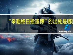 “辛勤终日拾遗穗”的出处是哪里