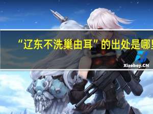 “辽东不洗巢由耳”的出处是哪里