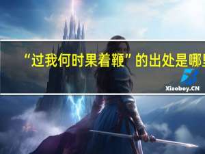 “过我何时果着鞭”的出处是哪里