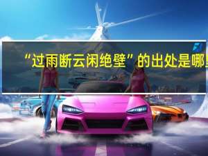 “过雨断云闲绝壁”的出处是哪里