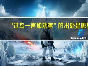 “过鸟一声如劝客”的出处是哪里