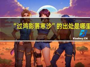“过鸿影落寒沙”的出处是哪里