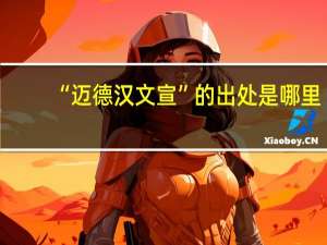 “迈德汉文宣”的出处是哪里