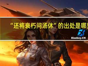 “还将衰朽问汤休”的出处是哪里
