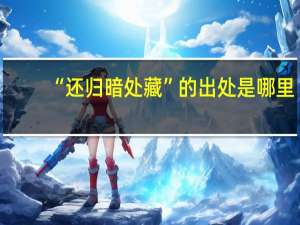 “还归暗处藏”的出处是哪里