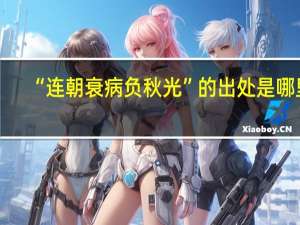 “连朝衰病负秋光”的出处是哪里