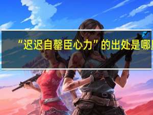 “迟迟自罄臣心力”的出处是哪里