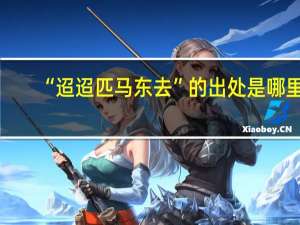 “迢迢匹马东去”的出处是哪里